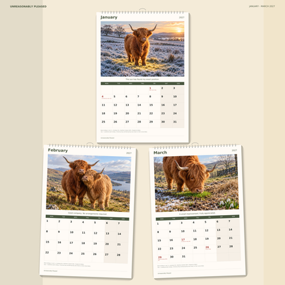 🔥Unreasonably Pleased 2027 A4 Wall Calendar - Funny Highland Cows