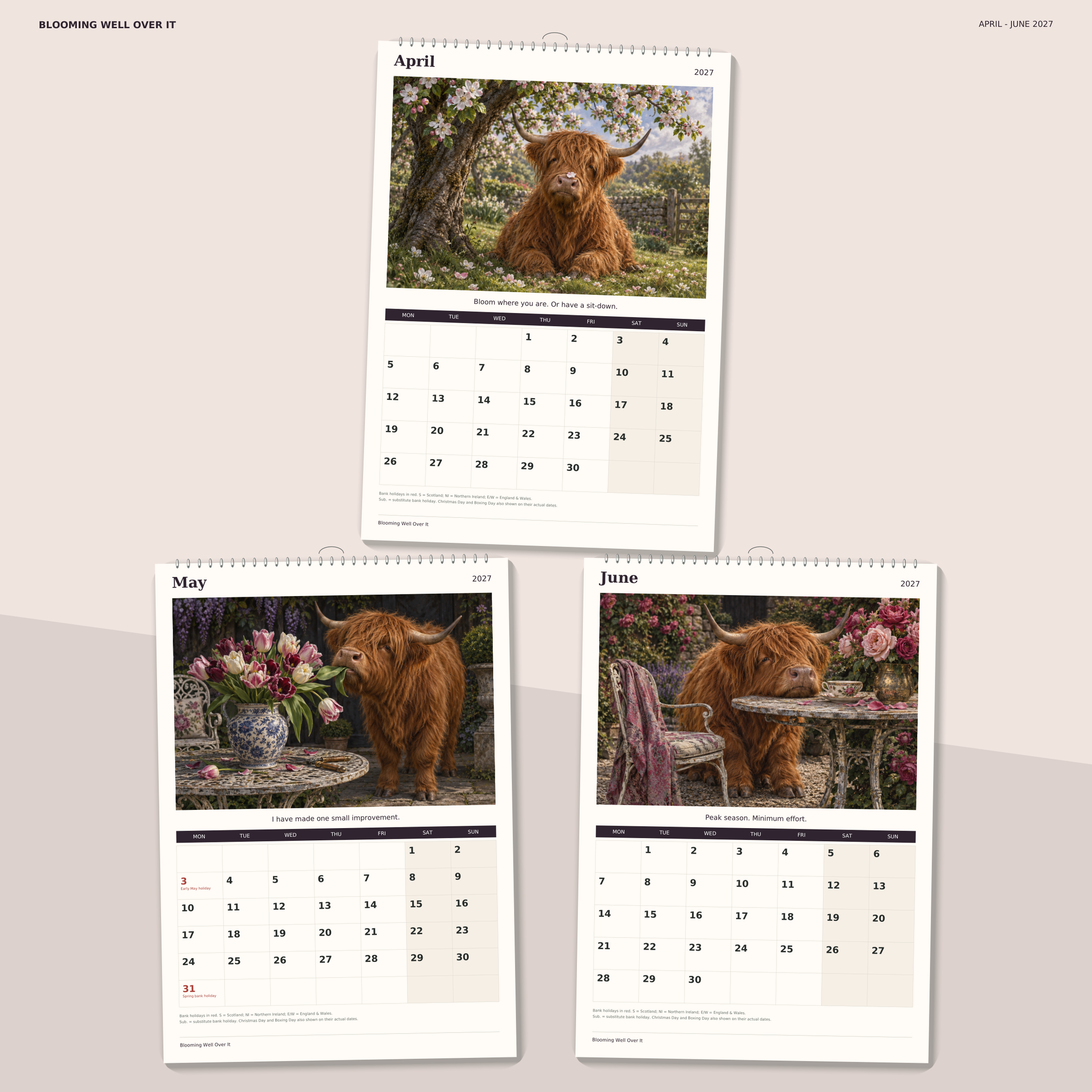 🔥Blooming Well Over It 2027 A4 Wall Calendar - Funny Highland Cows