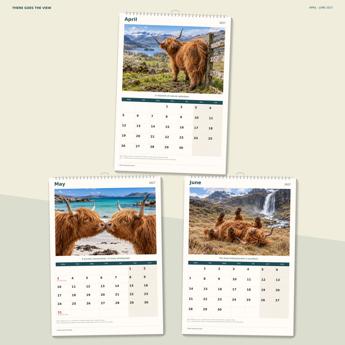 🔥There Goes the View 2027 A4 Wall Calendar - Funny Highland Cows