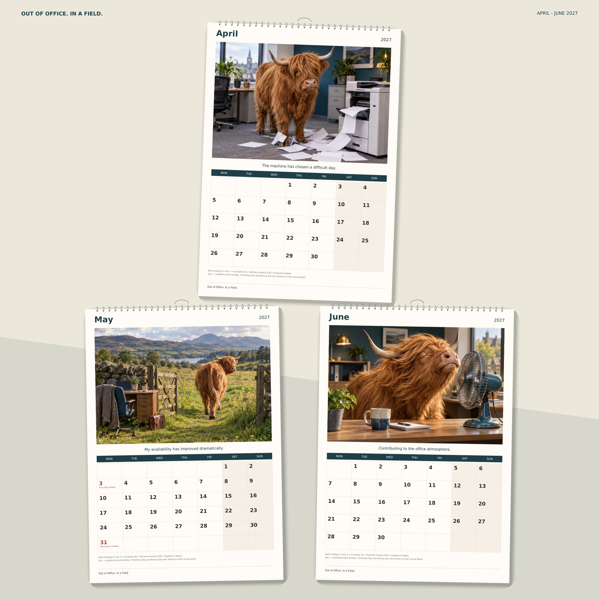 🔥Out of Office. In a Field. 2027 A4 Wall Calendar - Funny Highland Cows