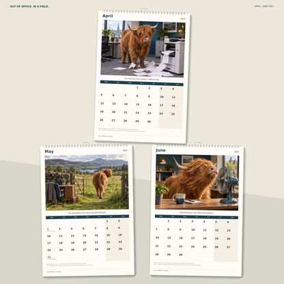 🔥Out of Office. In a Field. 2027 A4 Wall Calendar - Funny Highland Cows