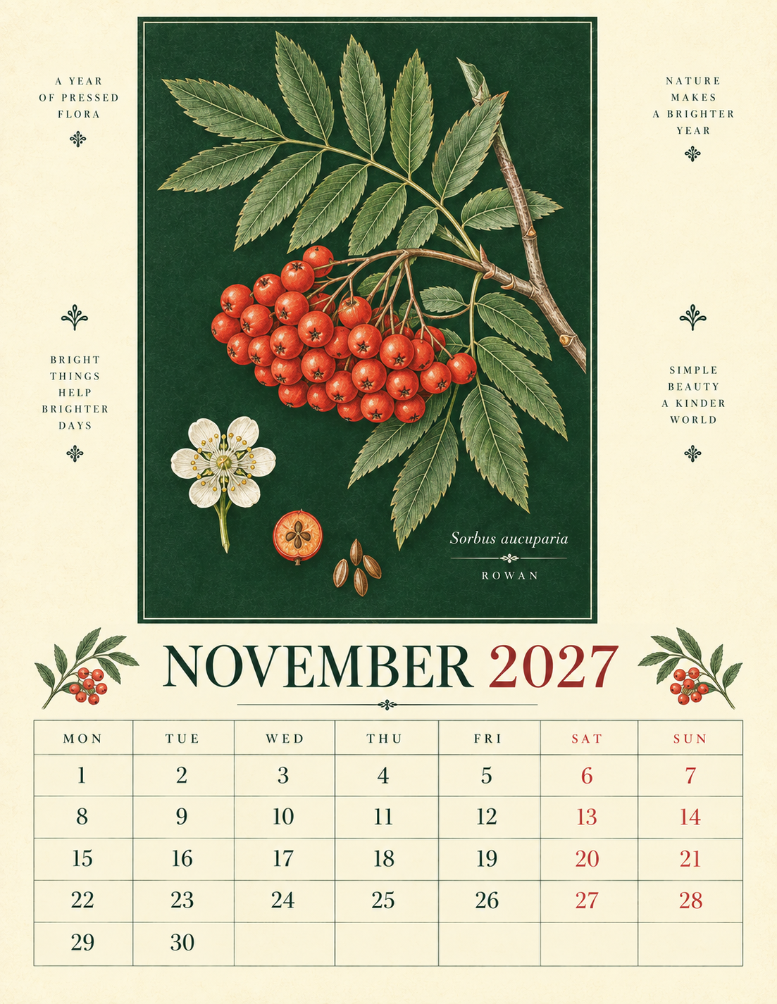 🌿 Botanical Specimens 2027 Wall Calendar – A Year of Pressed Flora