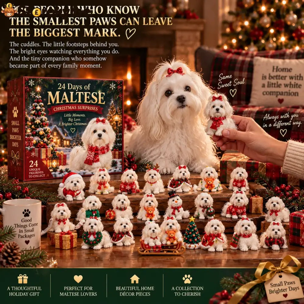 24 Days of Maltese Joy – A Christmas Collection of Little Moments & Big Love🐾❤️