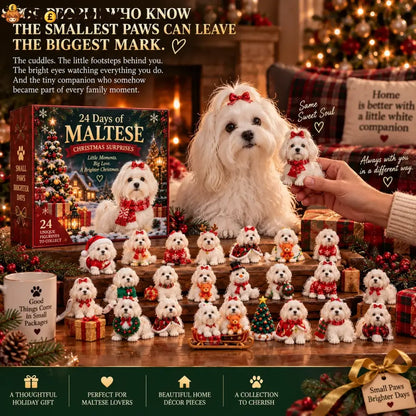 24 Days of Maltese Joy – A Christmas Collection of Little Moments & Big Love🐾❤️