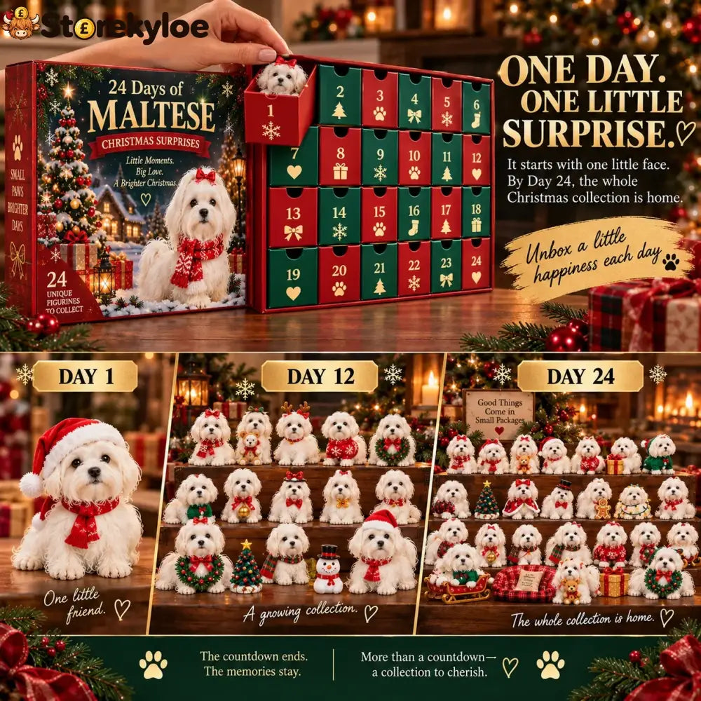 24 Days of Maltese Joy – A Christmas Collection of Little Moments & Big Love🐾❤️