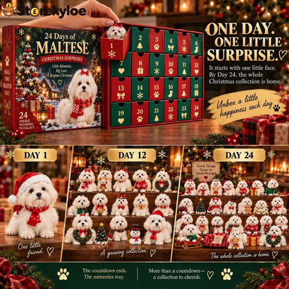 24 Days of Maltese Joy – A Christmas Collection of Little Moments & Big Love🐾❤️