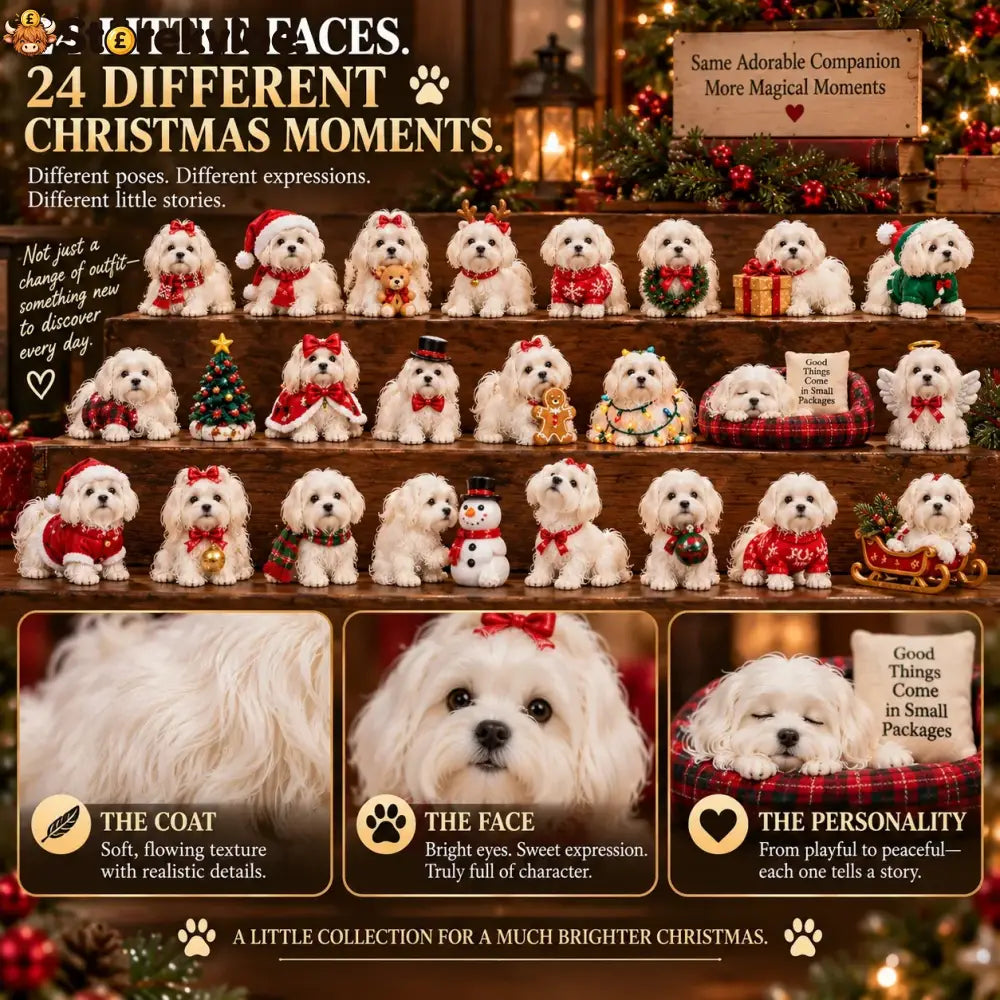 24 Days of Maltese Joy – A Christmas Collection of Little Moments & Big Love🐾❤️