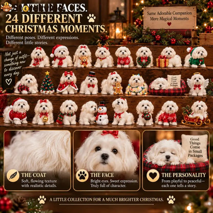 24 Days of Maltese Joy – A Christmas Collection of Little Moments & Big Love🐾❤️