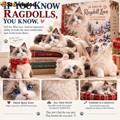 💙24 Days of Ragdoll Love, 24 Fluffy Little Personalities to Make Every Day Sweeter