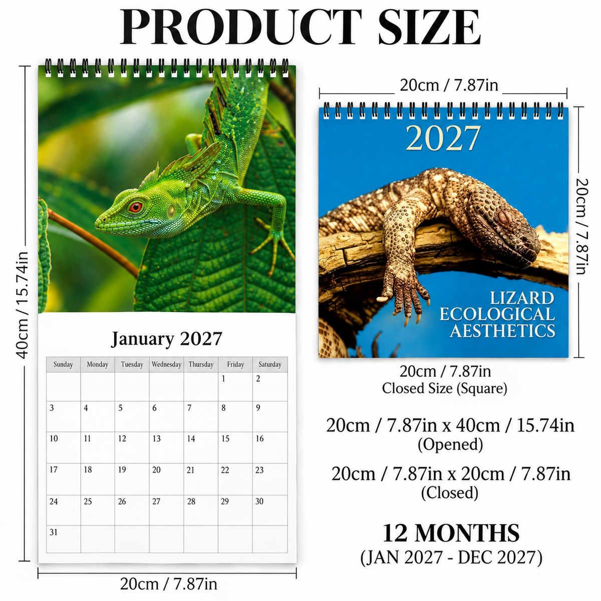 Lizard Ecological Aesthetics 2027 Wall Calendar – 12-Month Lizard Calendar, Extraordinary Reptile Wildlife Photography Hanging Planner for Nature & Reptile Lovers