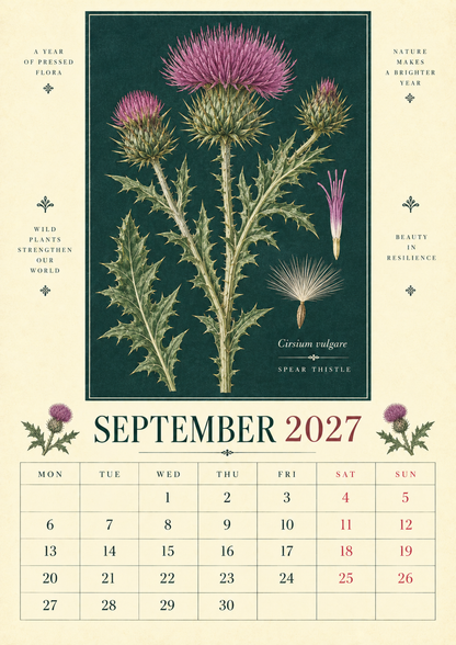 🌿 Botanical Specimens 2027 Wall Calendar – A Year of Pressed Flora