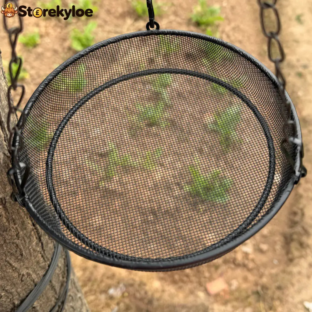 🐦🌾 50% OFF! 🌿 Hanging Bird Feeder Tray