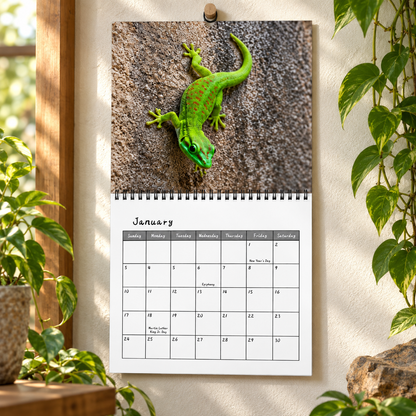Lizard Ecological Aesthetics 2027 Wall Calendar – 12-Month Lizard Calendar, Extraordinary Reptile Wildlife Photography Hanging Planner for Nature & Reptile Lovers
