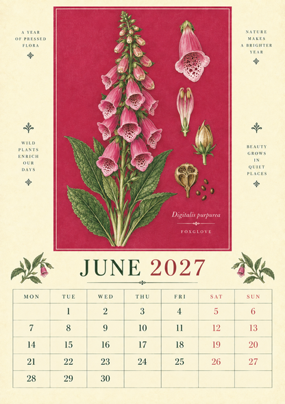 🌿 Botanical Specimens 2027 Wall Calendar – A Year of Pressed Flora