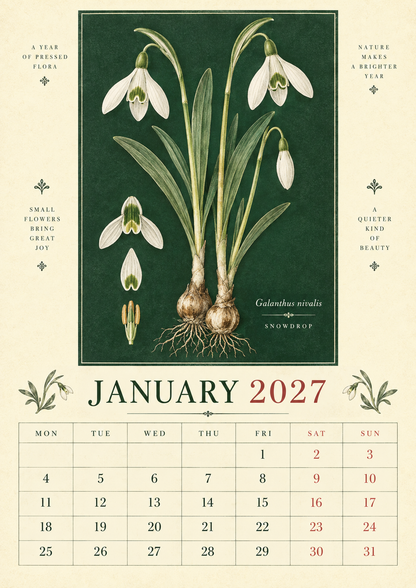 🌿 Botanical Specimens 2027 Wall Calendar – A Year of Pressed Flora