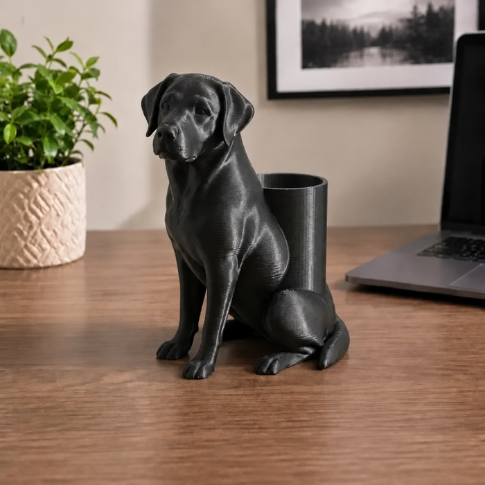 🐾 Labrador Retriever