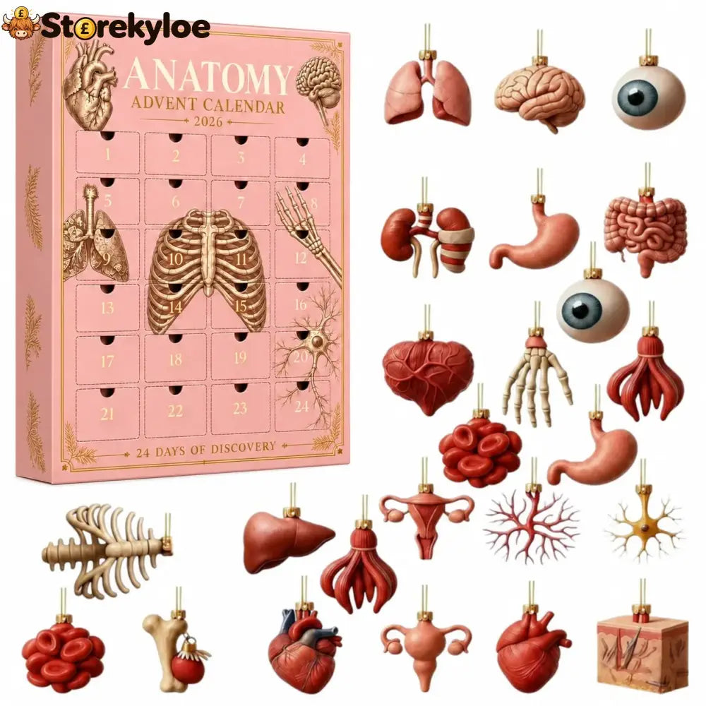 🏅Anatomy Advent Calendar, 24 Anatomy Ornaments