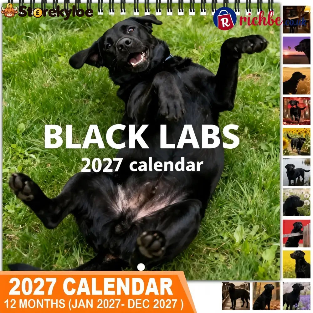 🐾 Black Labs 2027 Wall Calendar, 12 Months of Loyal Looks & Happy Tails - 2027 CALENDAR📅