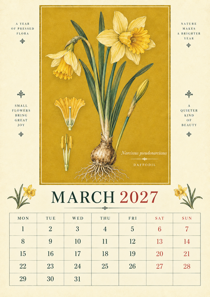 🌿 Botanical Specimens 2027 Wall Calendar – A Year of Pressed Flora