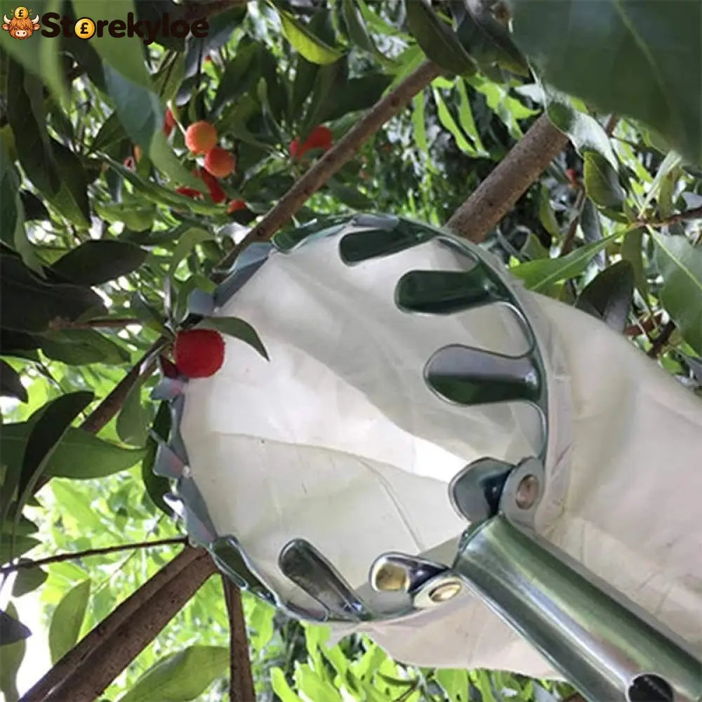 🍎 Fruit Picker with Collection Basket - Tools