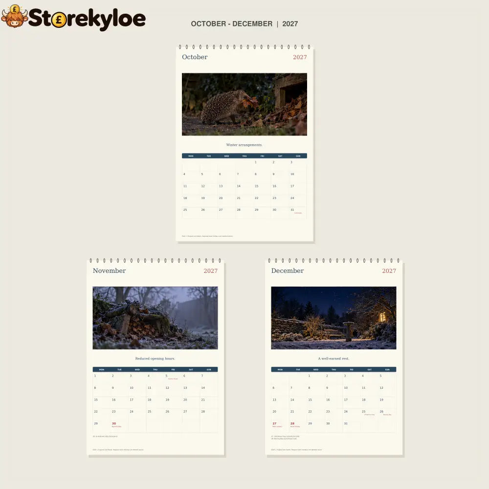 🔥Hedgehog Night Shift - 2027 A4 Wall Calendar