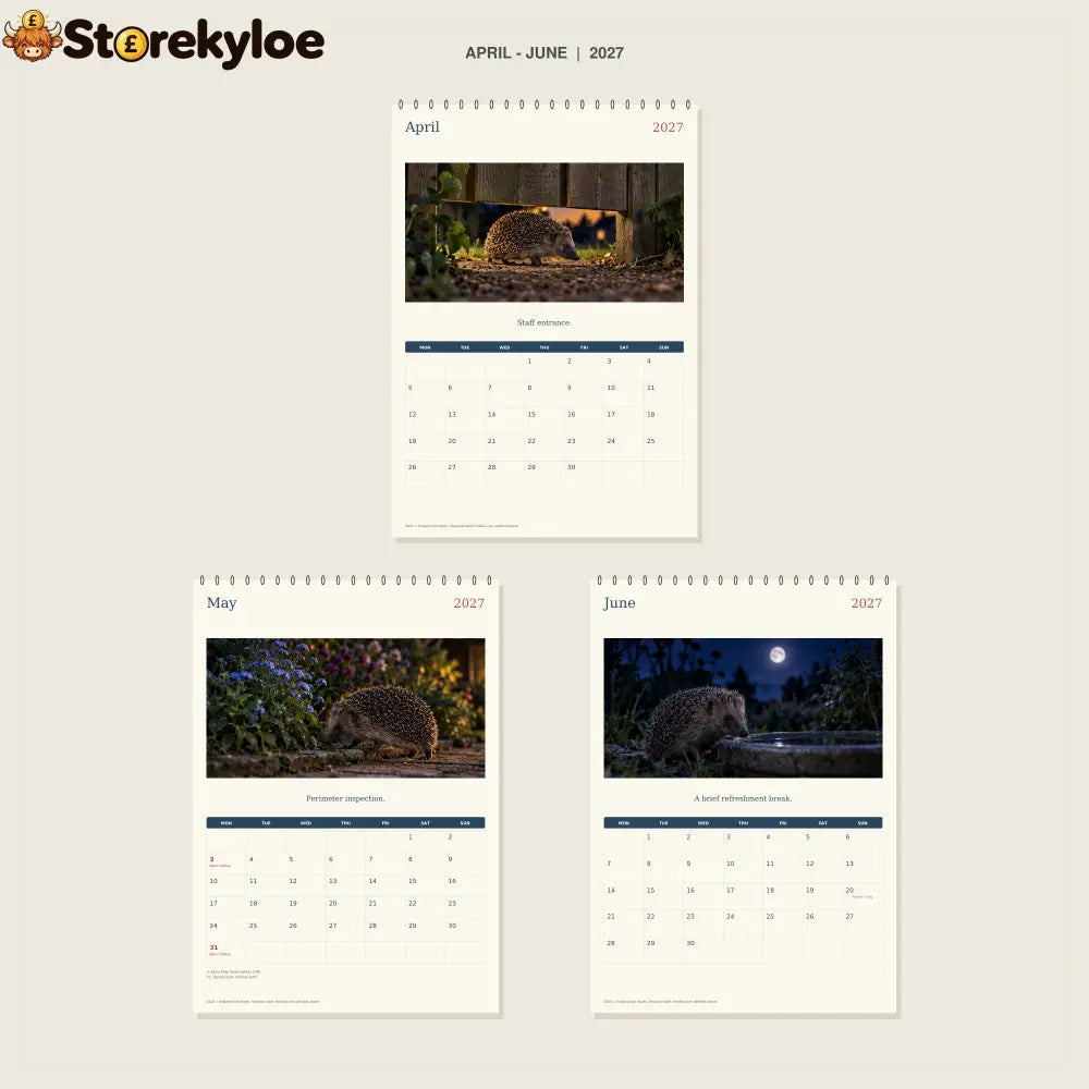 🔥Hedgehog Night Shift - 2027 A4 Wall Calendar