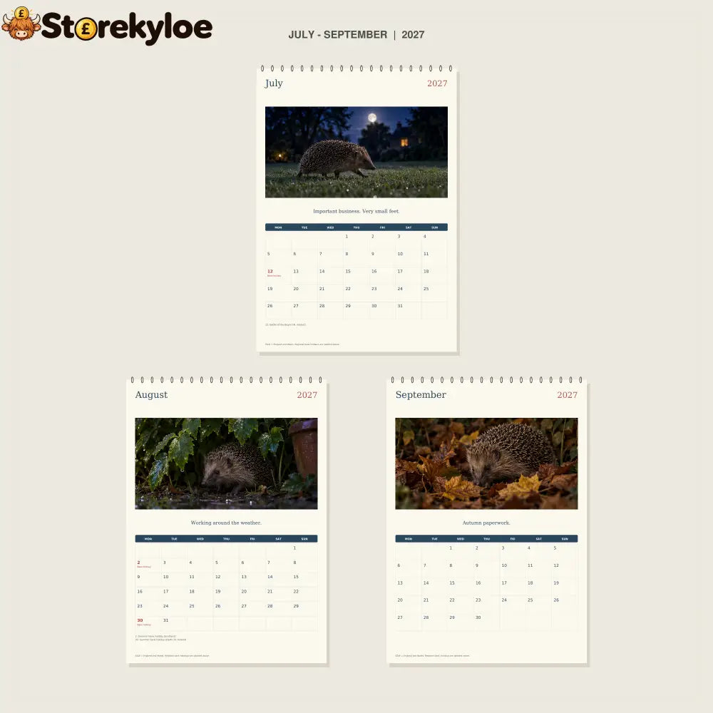 🔥Hedgehog Night Shift - 2027 A4 Wall Calendar