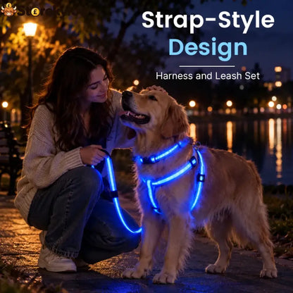 LED Light-Up Dog Harness and Leash Set