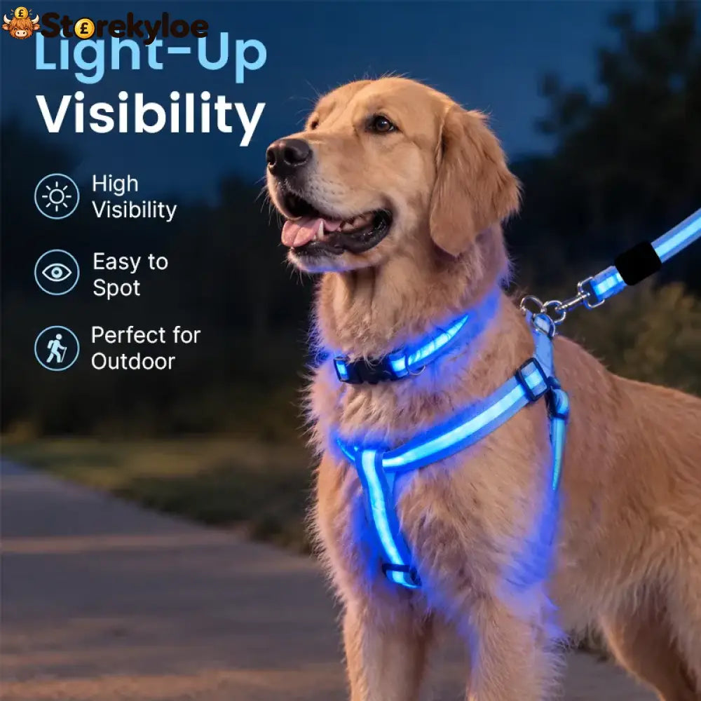 LED Light-Up Dog Harness and Leash Set
