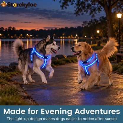 LED Light-Up Dog Harness and Leash Set