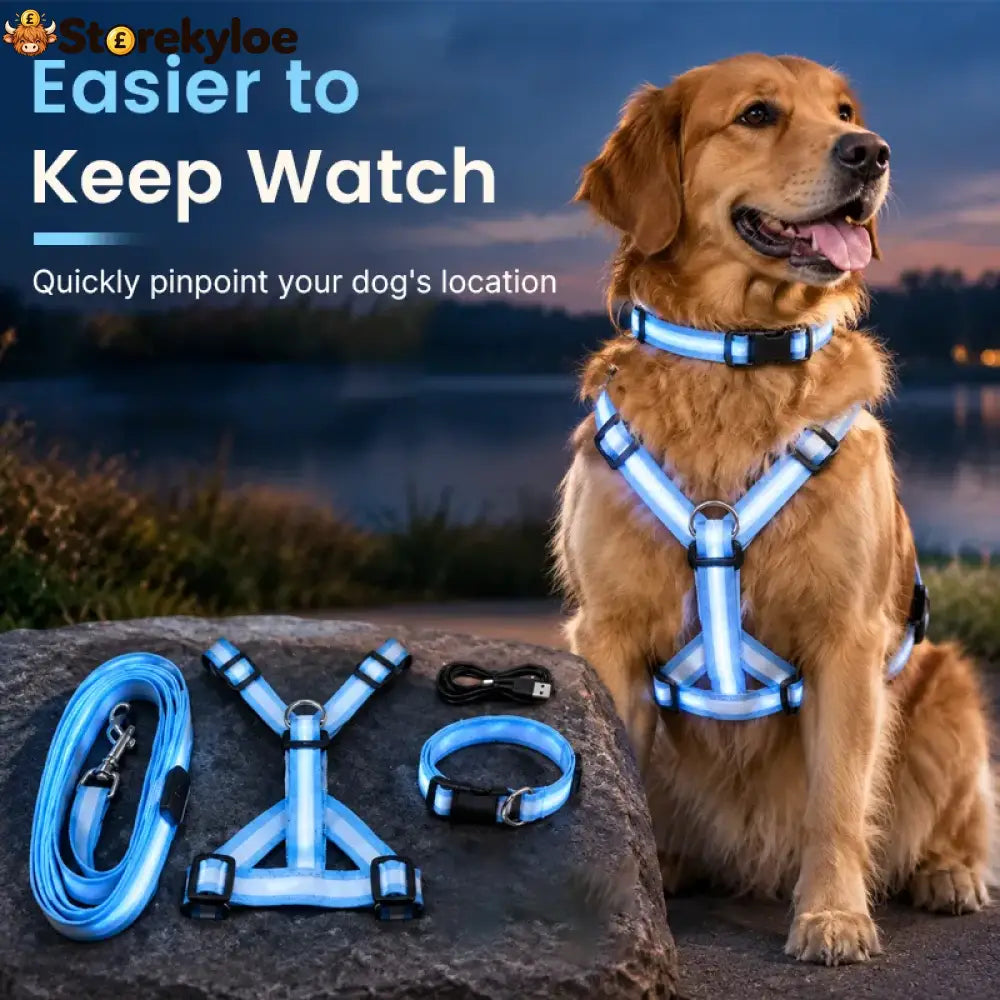 LED Light-Up Dog Harness and Leash Set