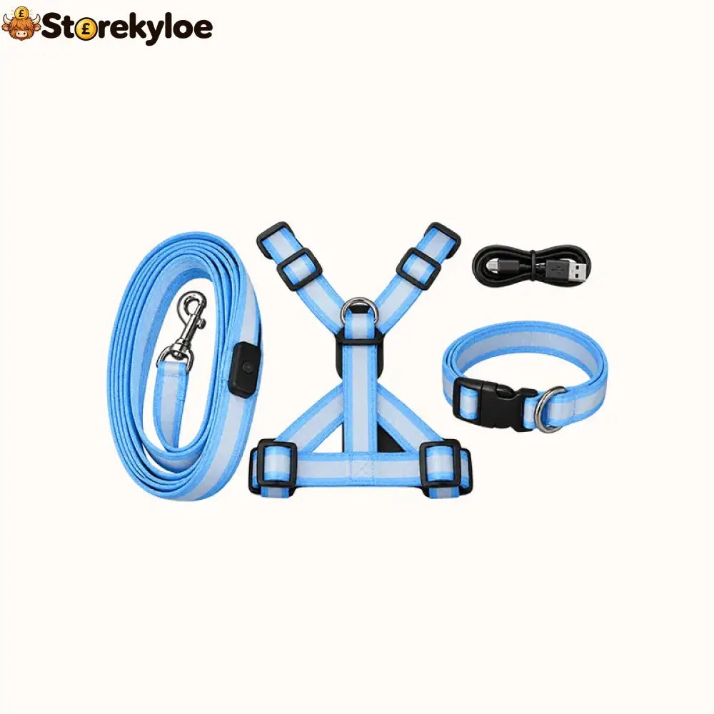 LED Light-Up Dog Harness and Leash Set