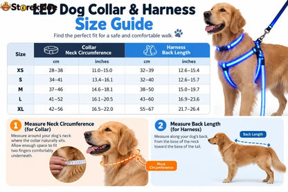 LED Light-Up Dog Harness and Leash Set