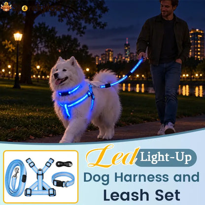 LED Light-Up Dog Harness and Leash Set - S / Blue