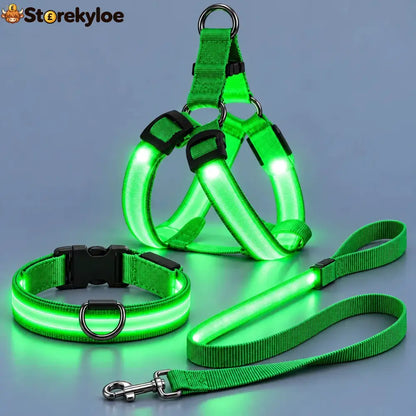 LED Light-Up Dog Harness and Leash Set - S / Green