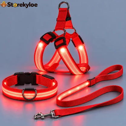 LED Light-Up Dog Harness and Leash Set - S / Red