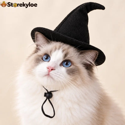 Little Hat. Big Witch Energy. 🐈‍⬛🖤