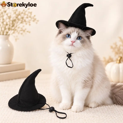 Little Hat. Big Witch Energy. 🐈‍⬛🖤