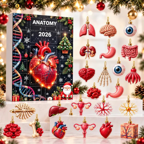 Loriova™ Anatomy Advent Calendar
