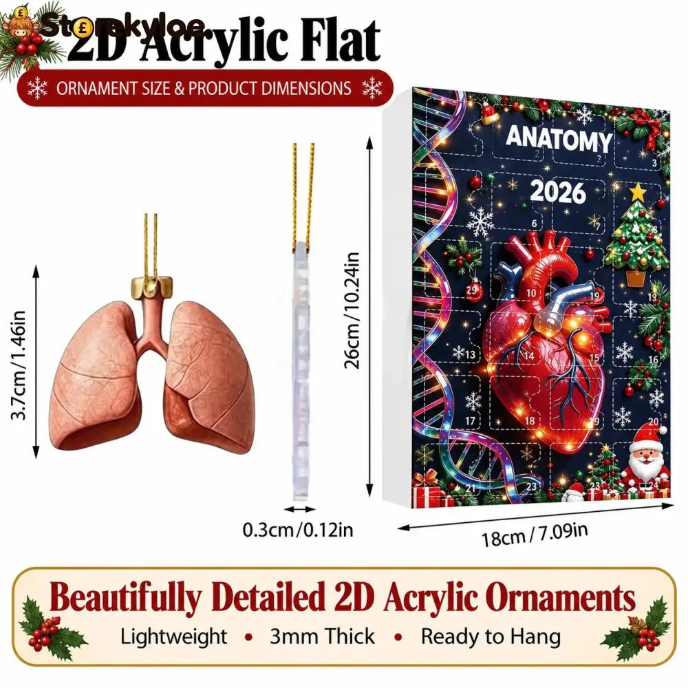 Loriova™ Anatomy Advent Calendar