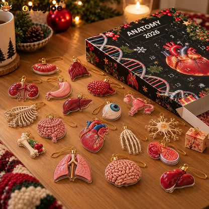 Loriova™ Anatomy Advent Calendar