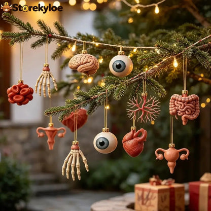 Loriova™ Anatomy Advent Calendar
