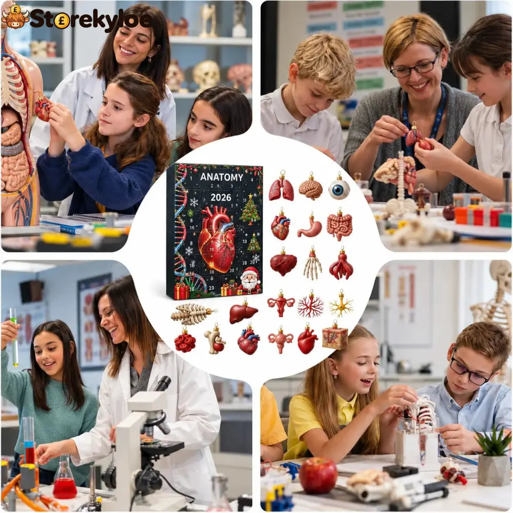 Loriova™ Anatomy Advent Calendar