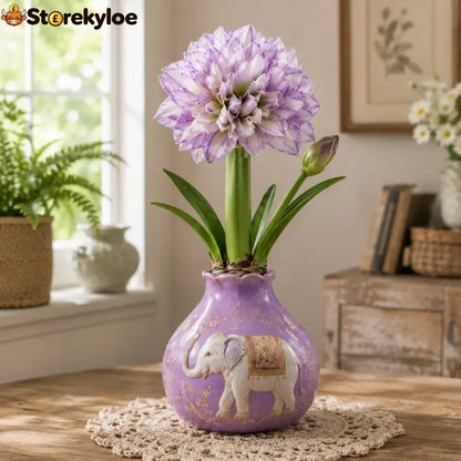 🔥 No Soil! No Water! Just Blooms! 🌺 Watch These Waxed Amaryllis Bulbs Come to Life! - Purple / 4 Bulbs
