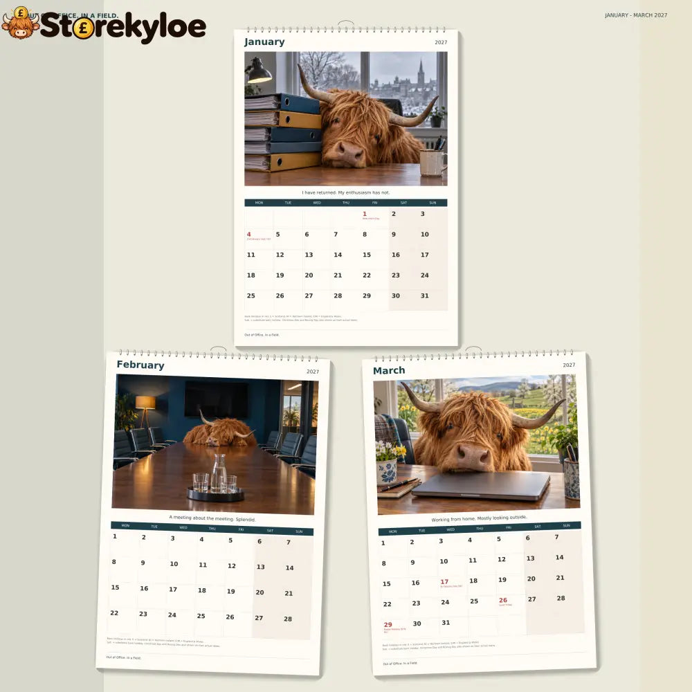 🔥Out of Office. In a Field. 2027 A4 Wall Calendar - Funny Highland Cows