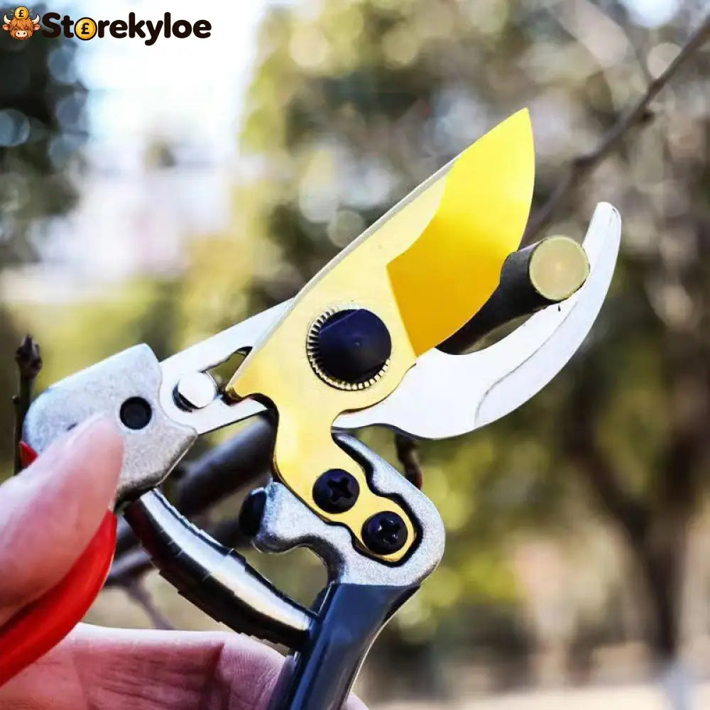 ✂️ SK5 Pruning Shears - Hot sale