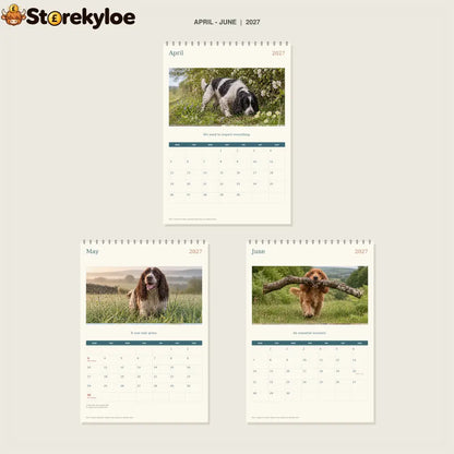 🔥Spaniels: Mud Comes as Standard - 2027 A4 Wall Calendar