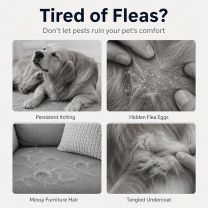 🔥Buy 1 Get 1 Free🔥Fine-Toothed Pet Grooming Comb