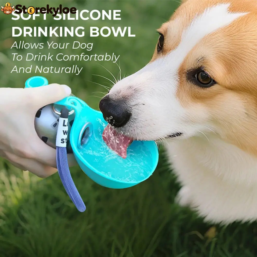 ⏳Time-Limited Special⏰2-in-1 Portable Dog Water Bottle for Small Dogs - Leak-Proof & Compact