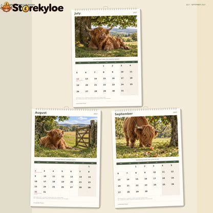 🔥Unreasonably Pleased 2027 A4 Wall Calendar - Funny Highland Cows